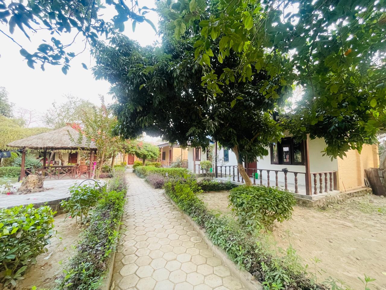 Jungle Heaven Hotel and Cottage