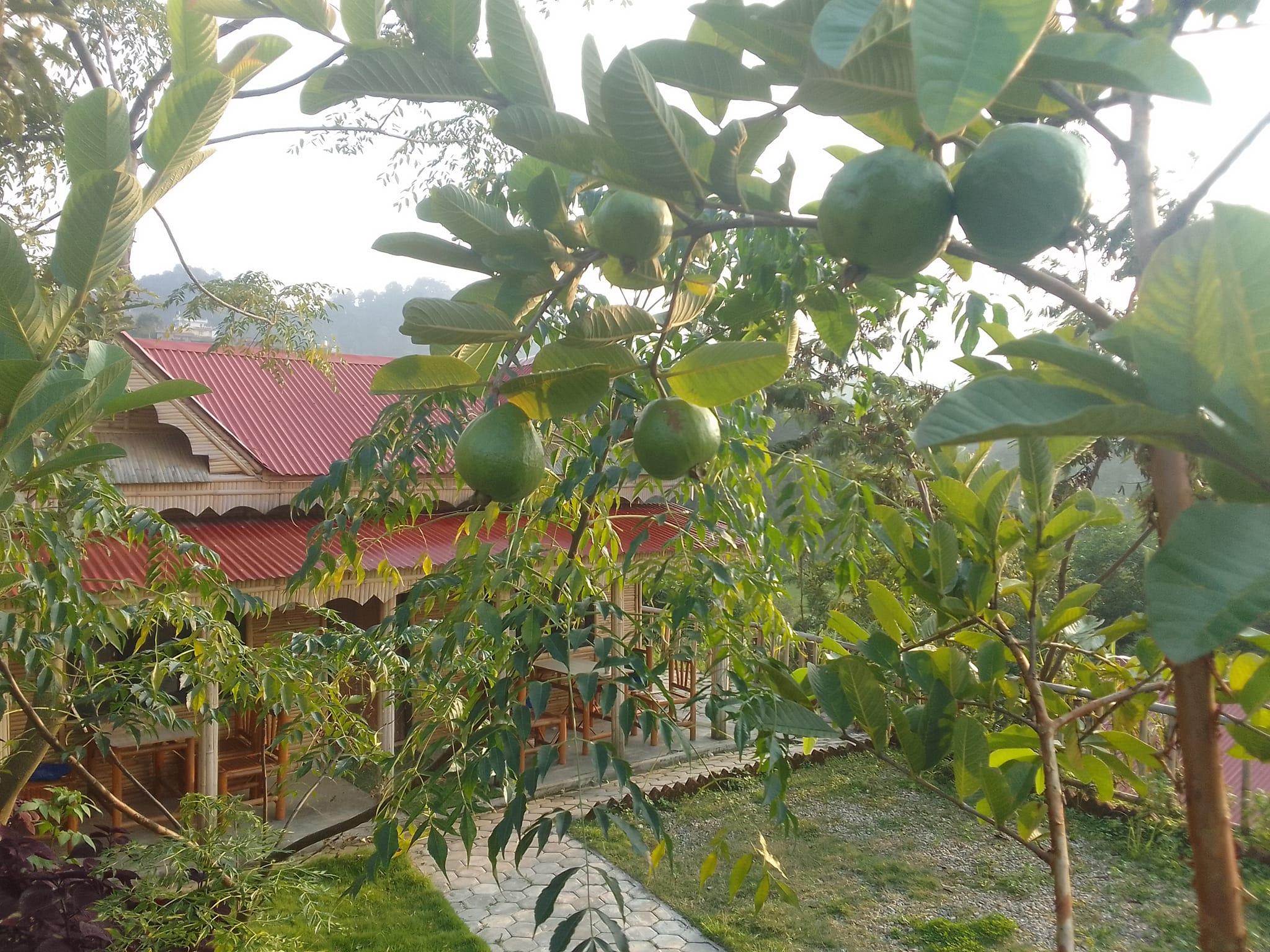 Farmers Farm and Farm Stay