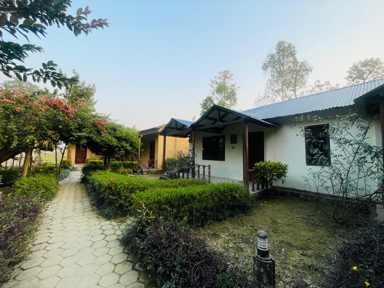 Jungle Heaven Hotel and Cottage