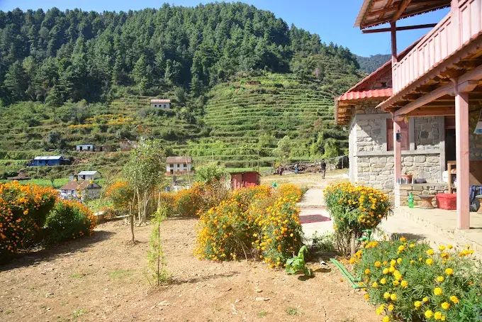 Aama Integrated Farmstay