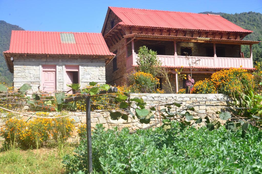 Aama Integrated Farmstay