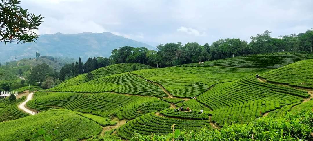 Nepal Village Homestay