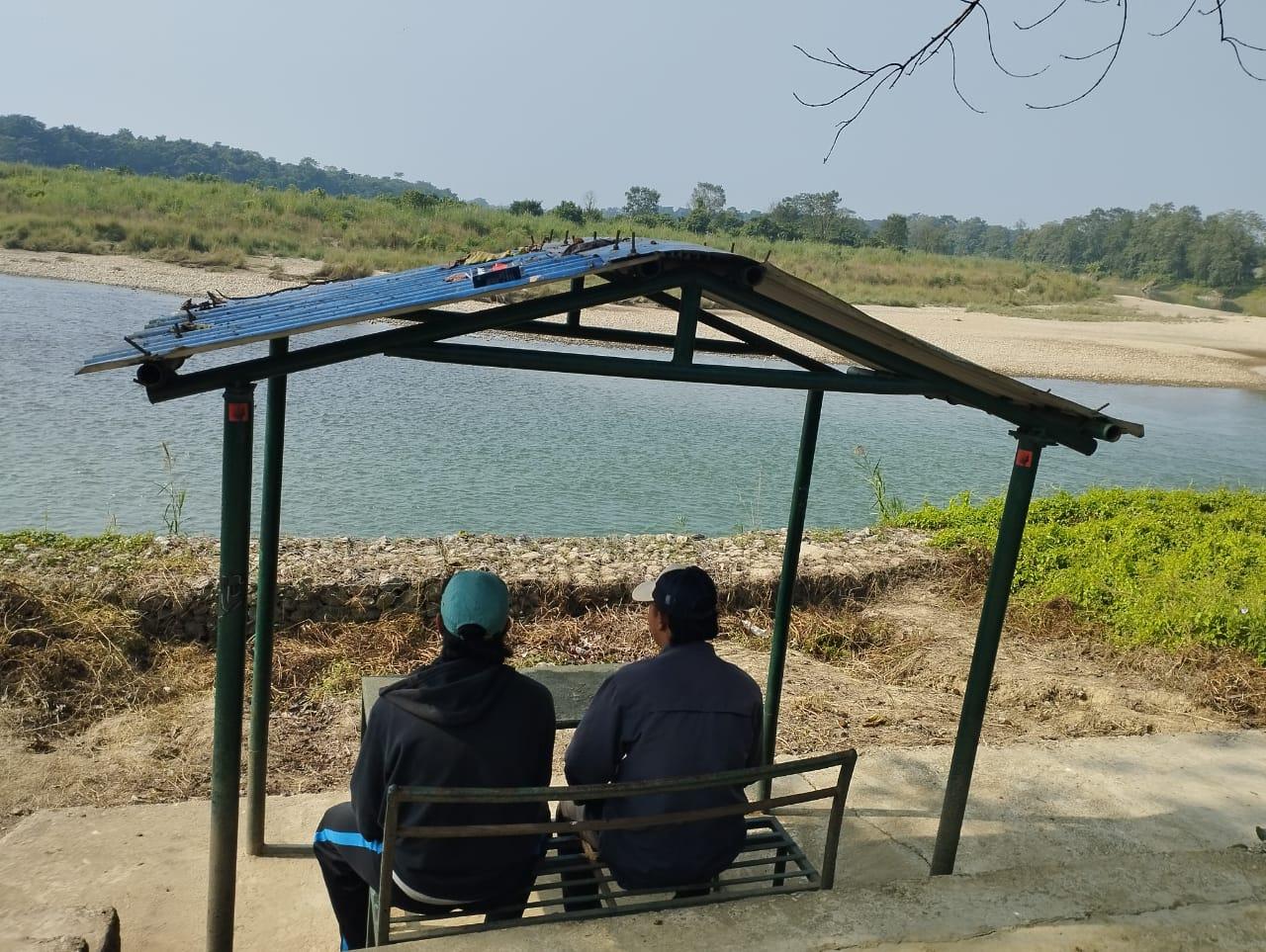 Hotel Tree Land Lodge