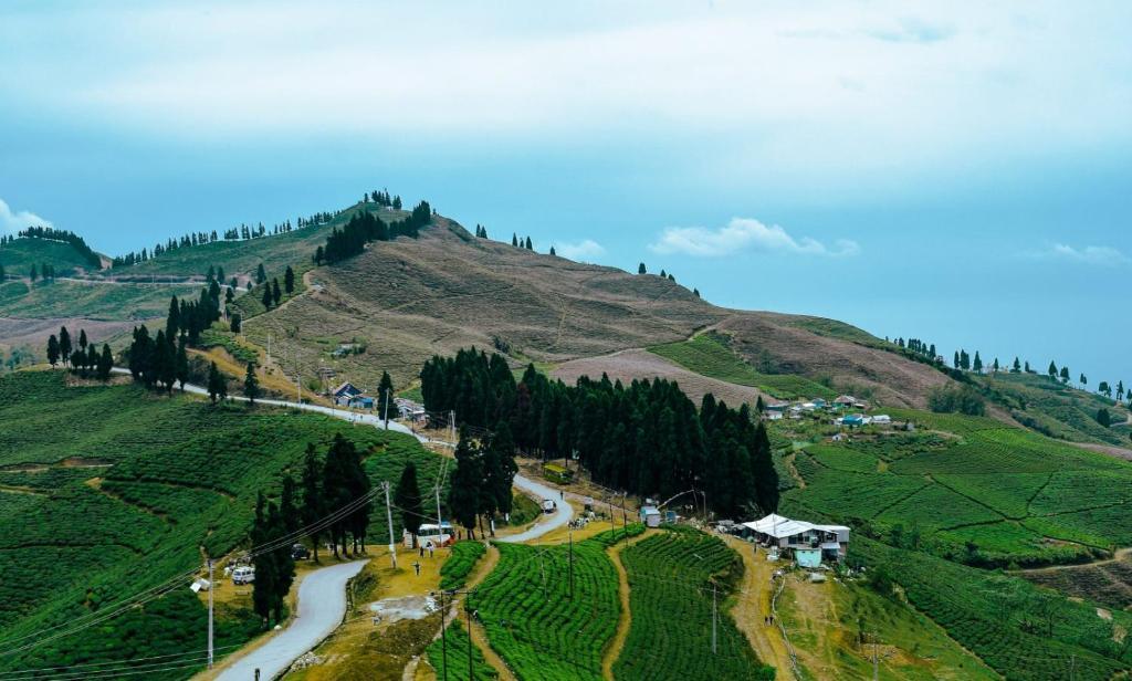 Hotel Green Carpet Kanyam