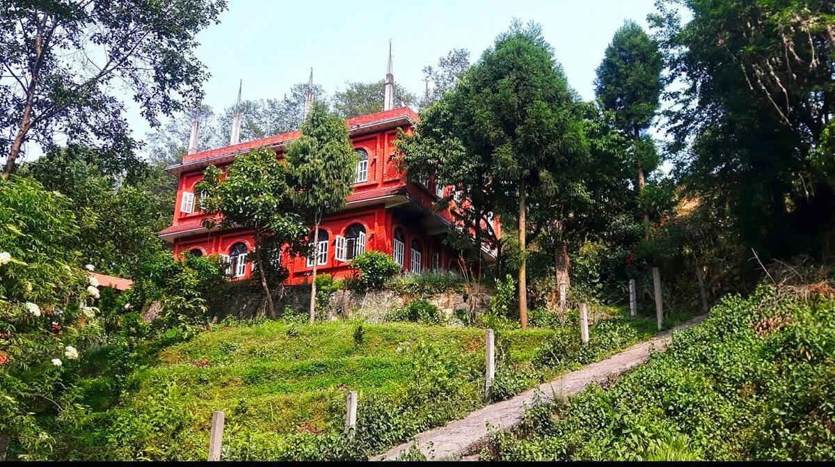 Innate Pension Guest House and Cafe