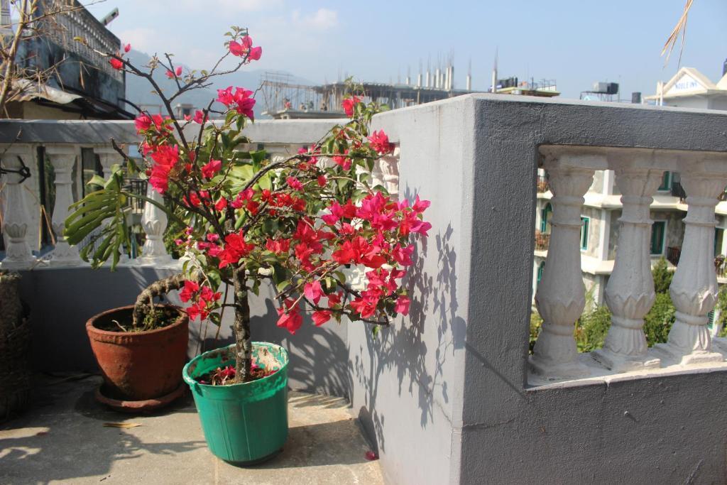 Hotel Fishtail Villa