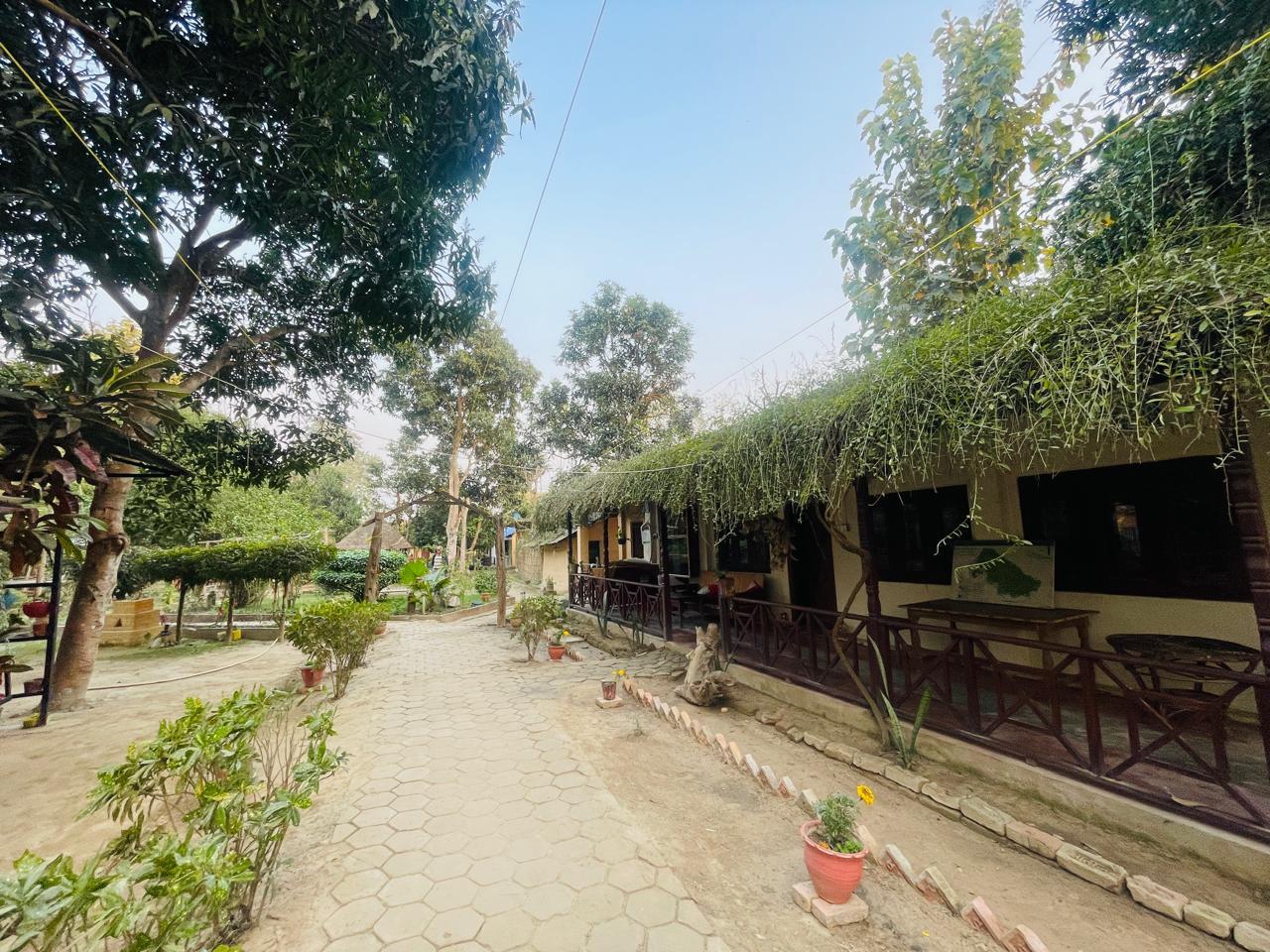 Jungle Heaven Hotel and Cottage