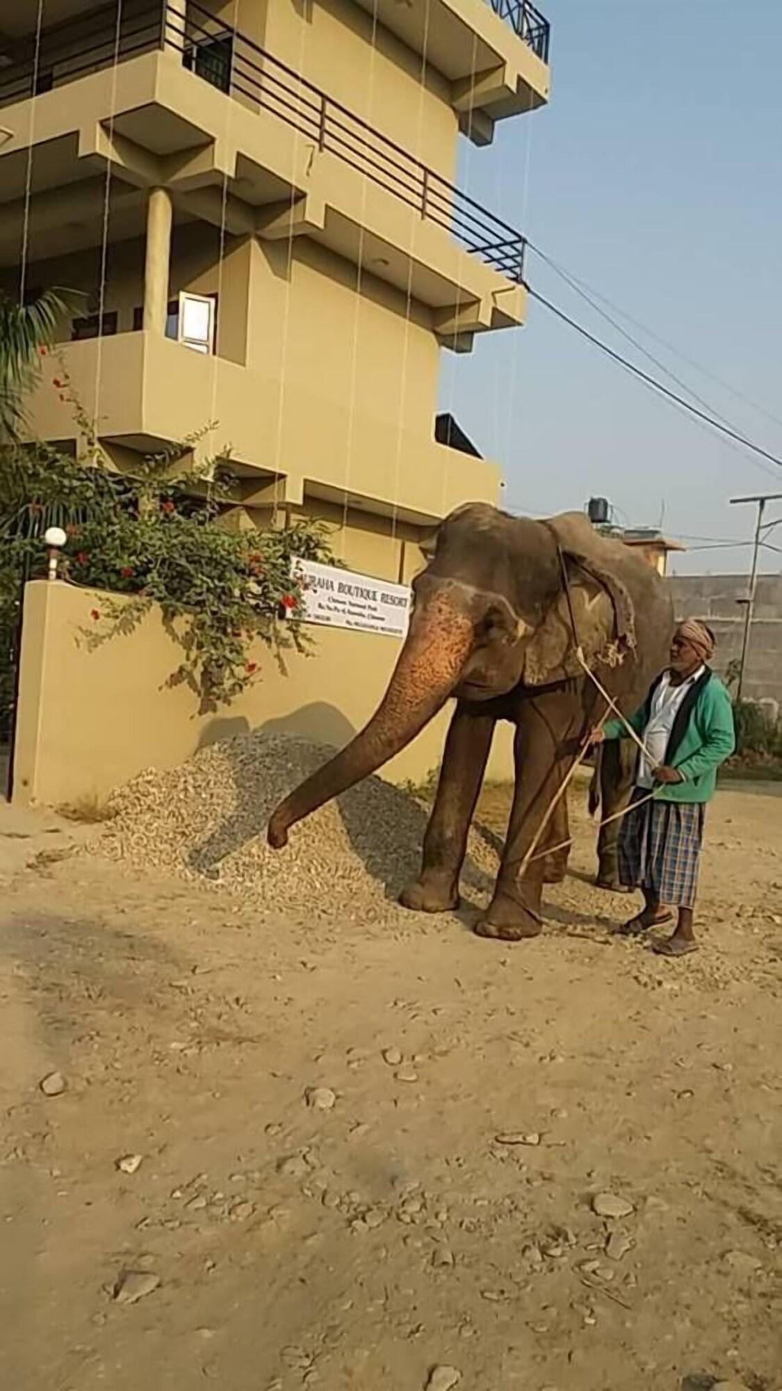 Sauraha Boutique Resort