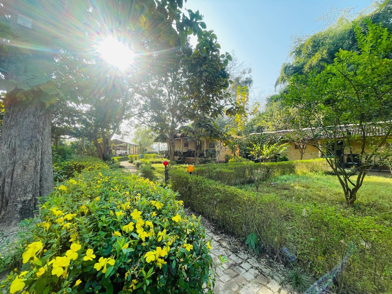 Wild Planet Eco-Retreat Bardiya