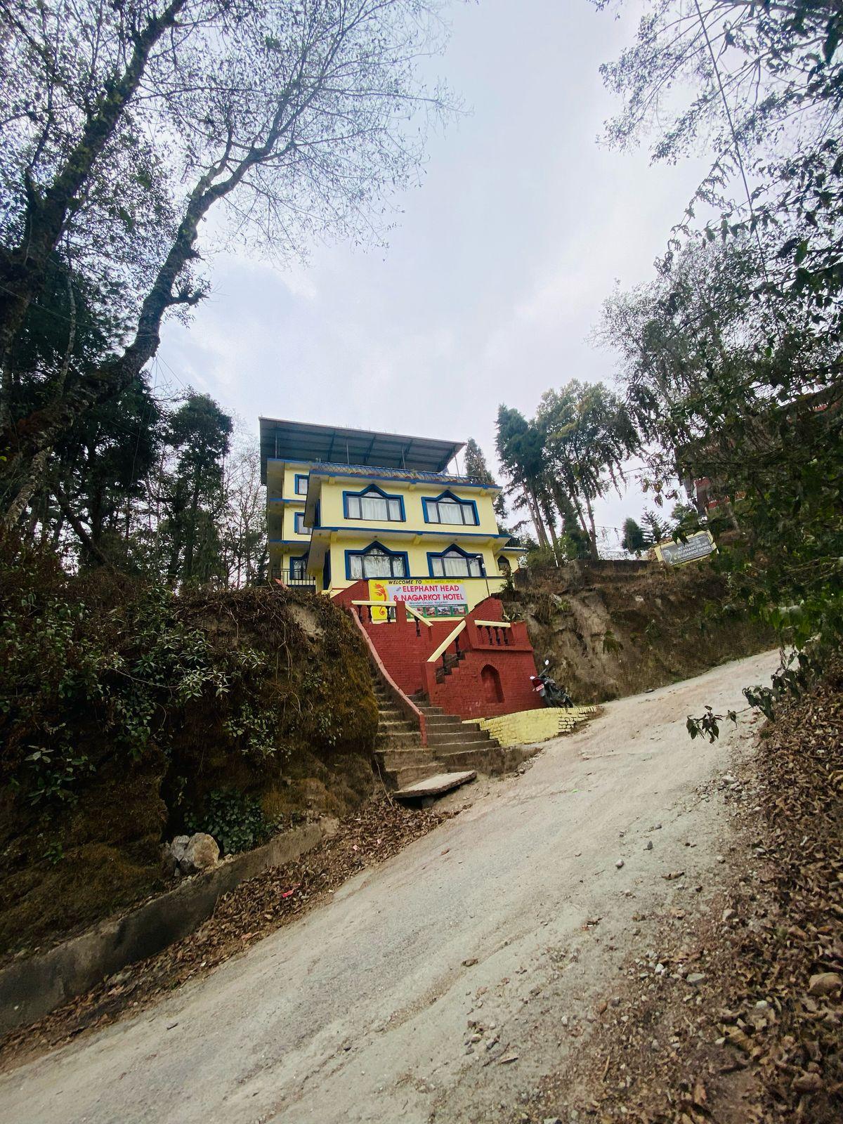 Hotel New Elephant Head