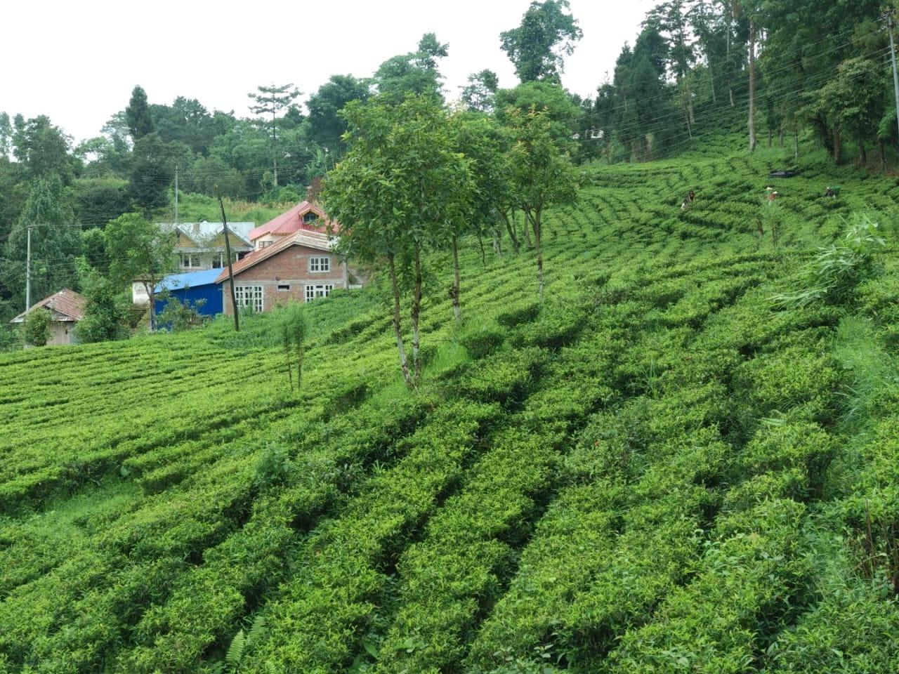 Nepal Village Homestay