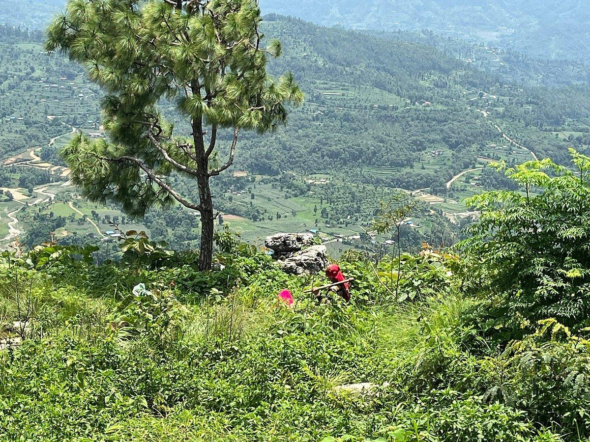 Bandipur Samira Homestay