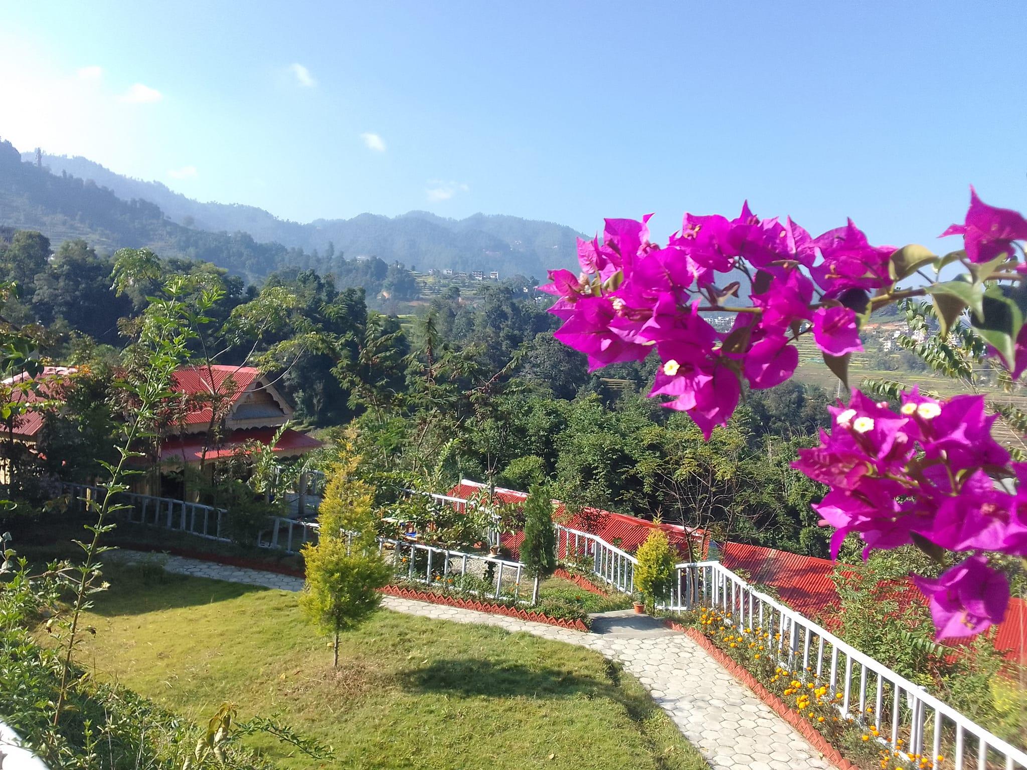 Farmers Farm and Farm Stay