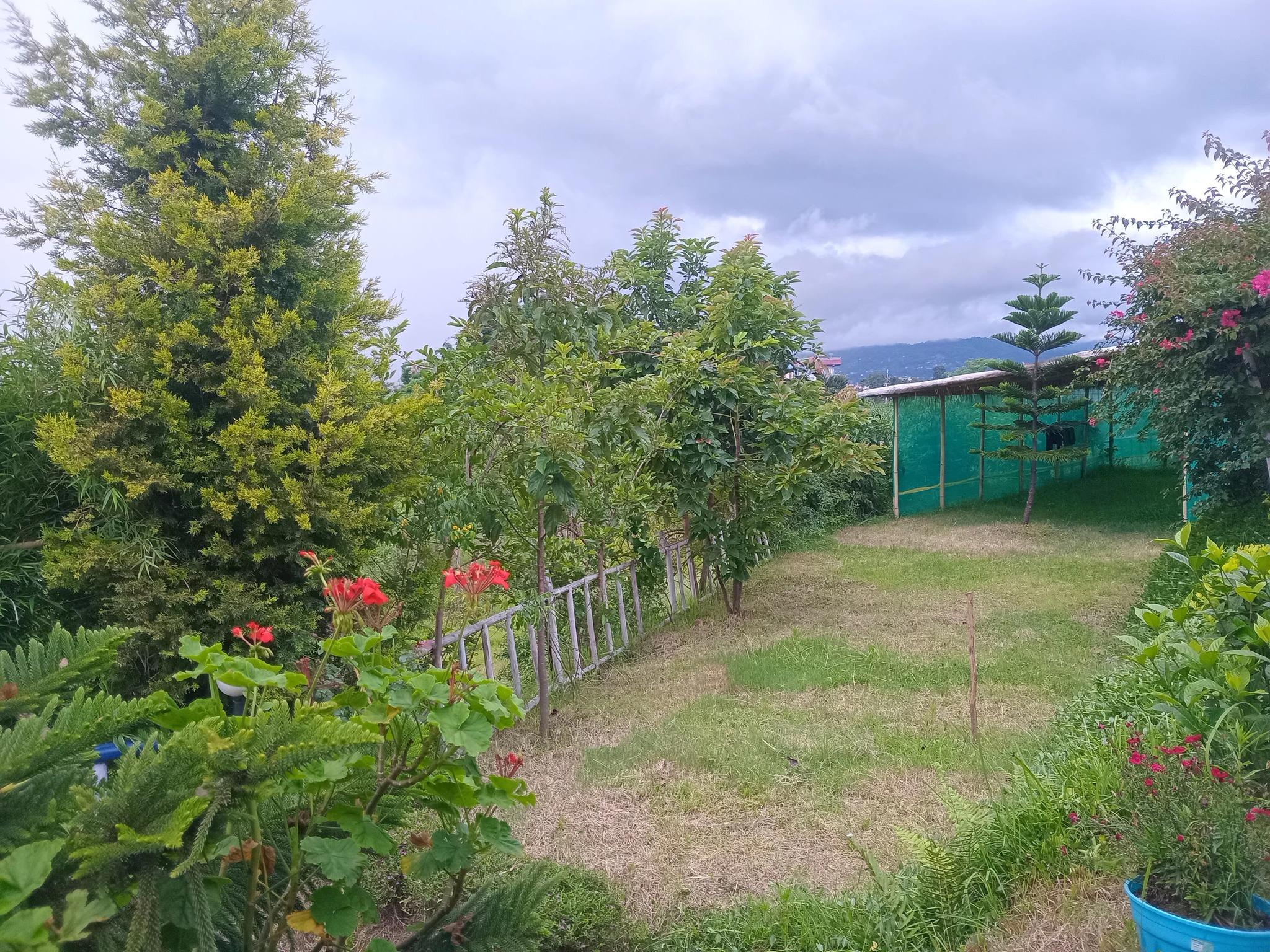 Farmers Farm and Farm Stay