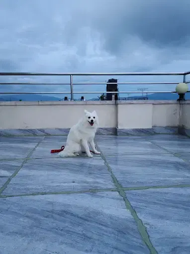 Hotel Chandragiri Paradise