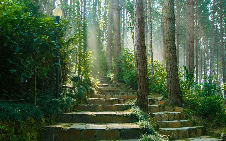 Bandipur Mountain Resort