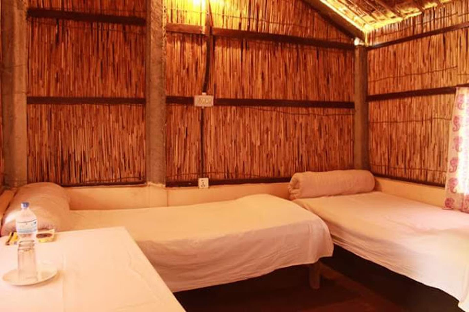 Paradise Nest Room