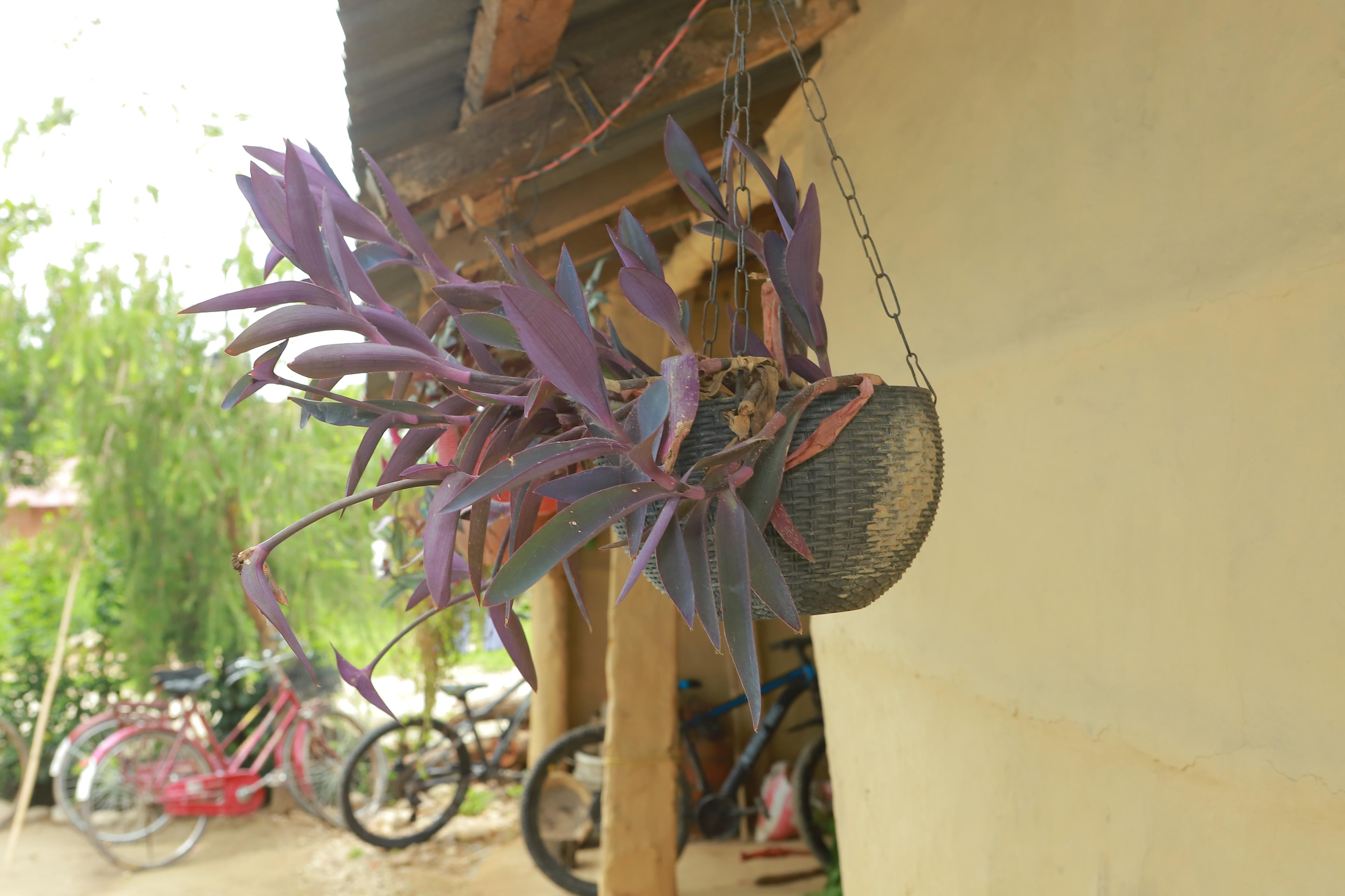 Sundar Homestay Home No. 1