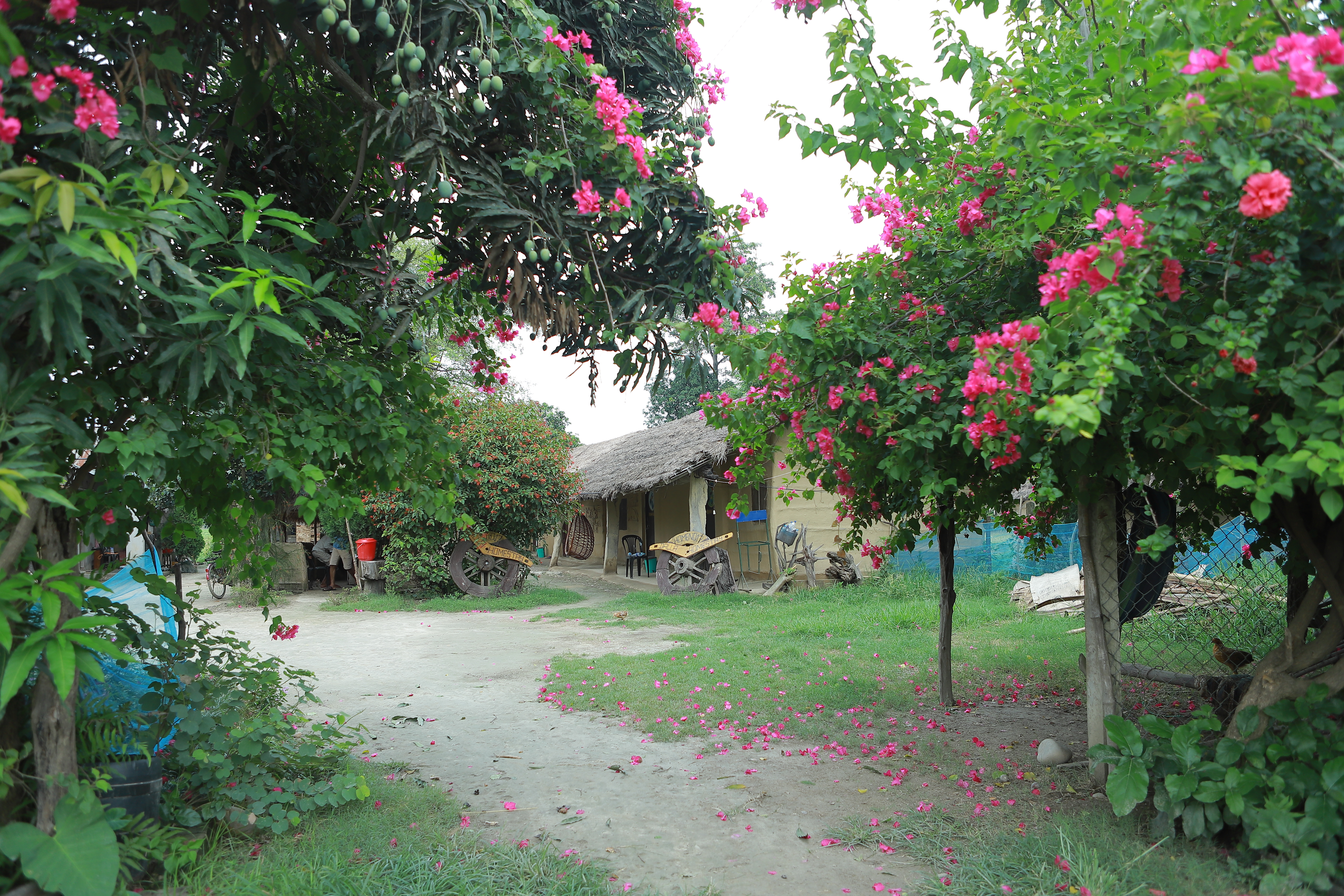 Dalla Homestay Home No. 17