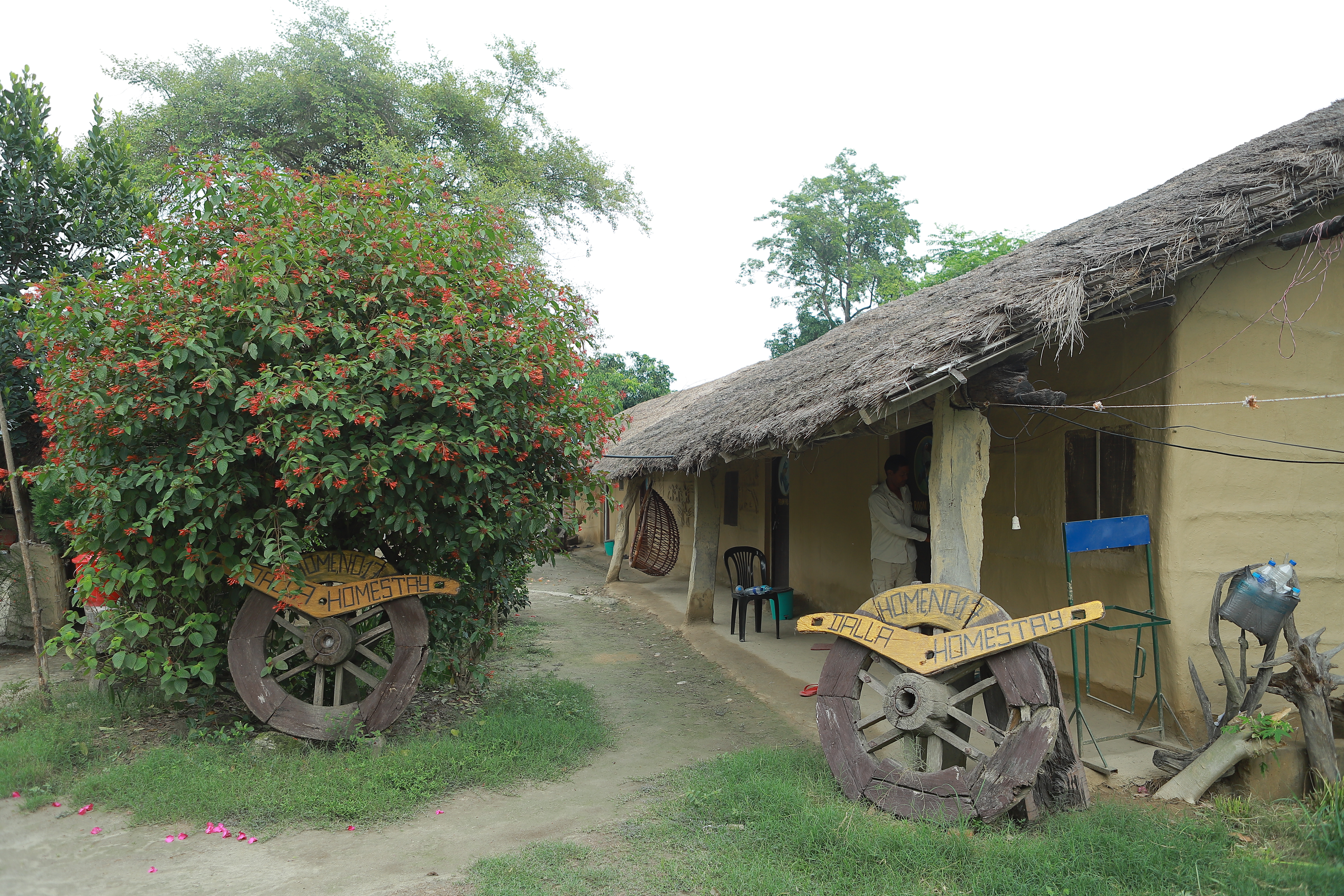 Dalla Homestay Home No. 17