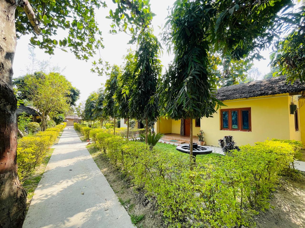 Bardia Golden River of Wildsite