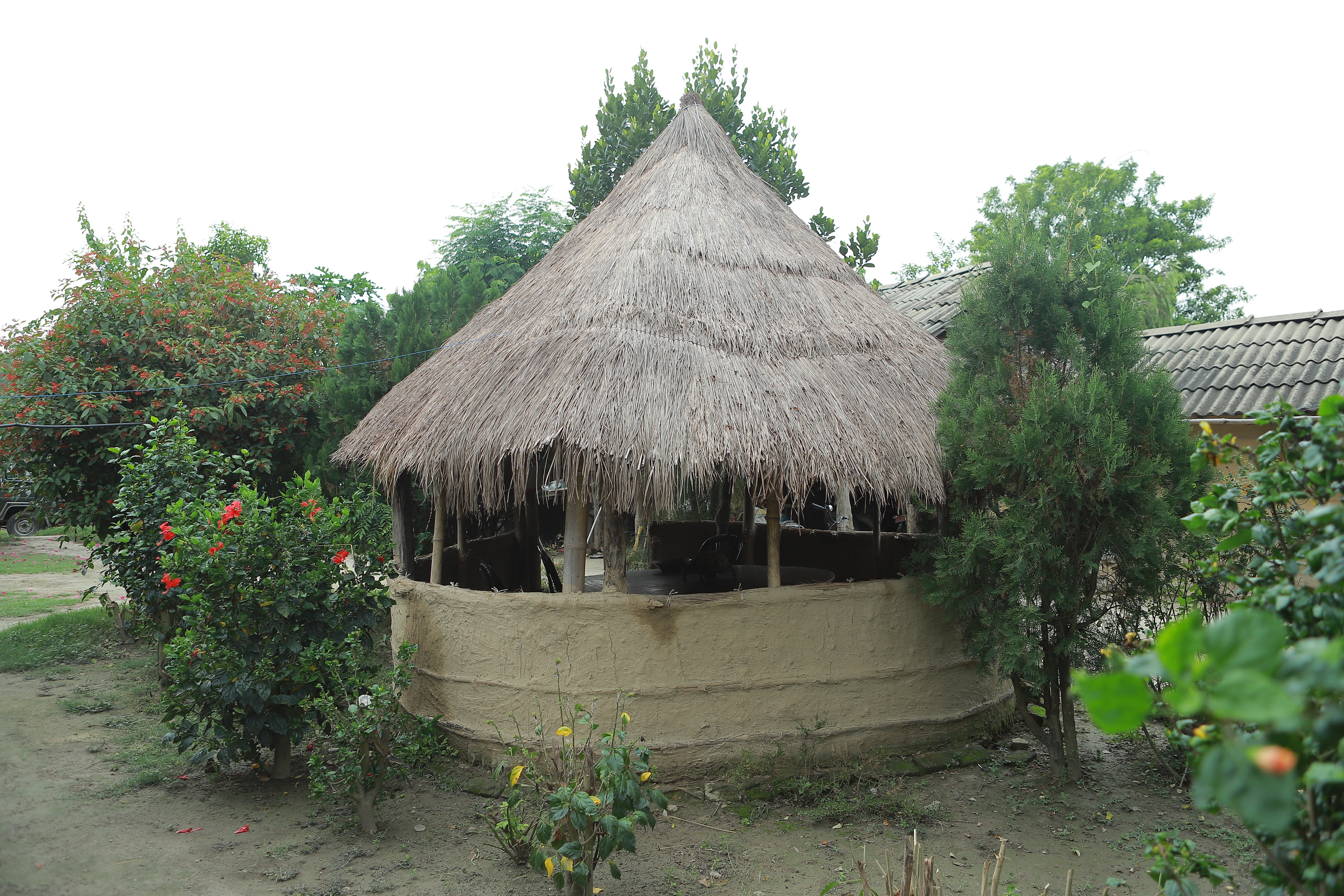 Dalla Homestay Home No. 17