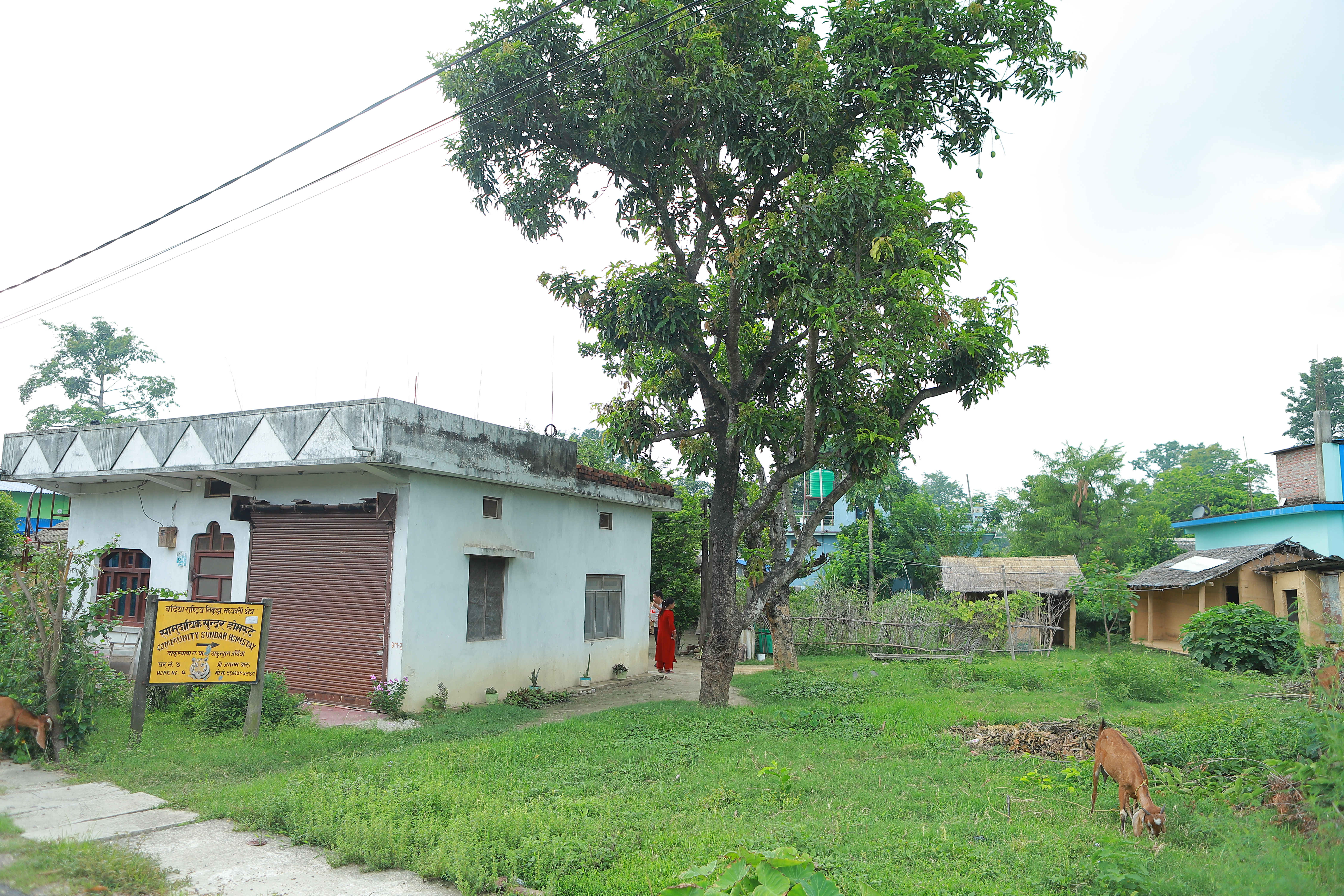 Sundar Community Homestay