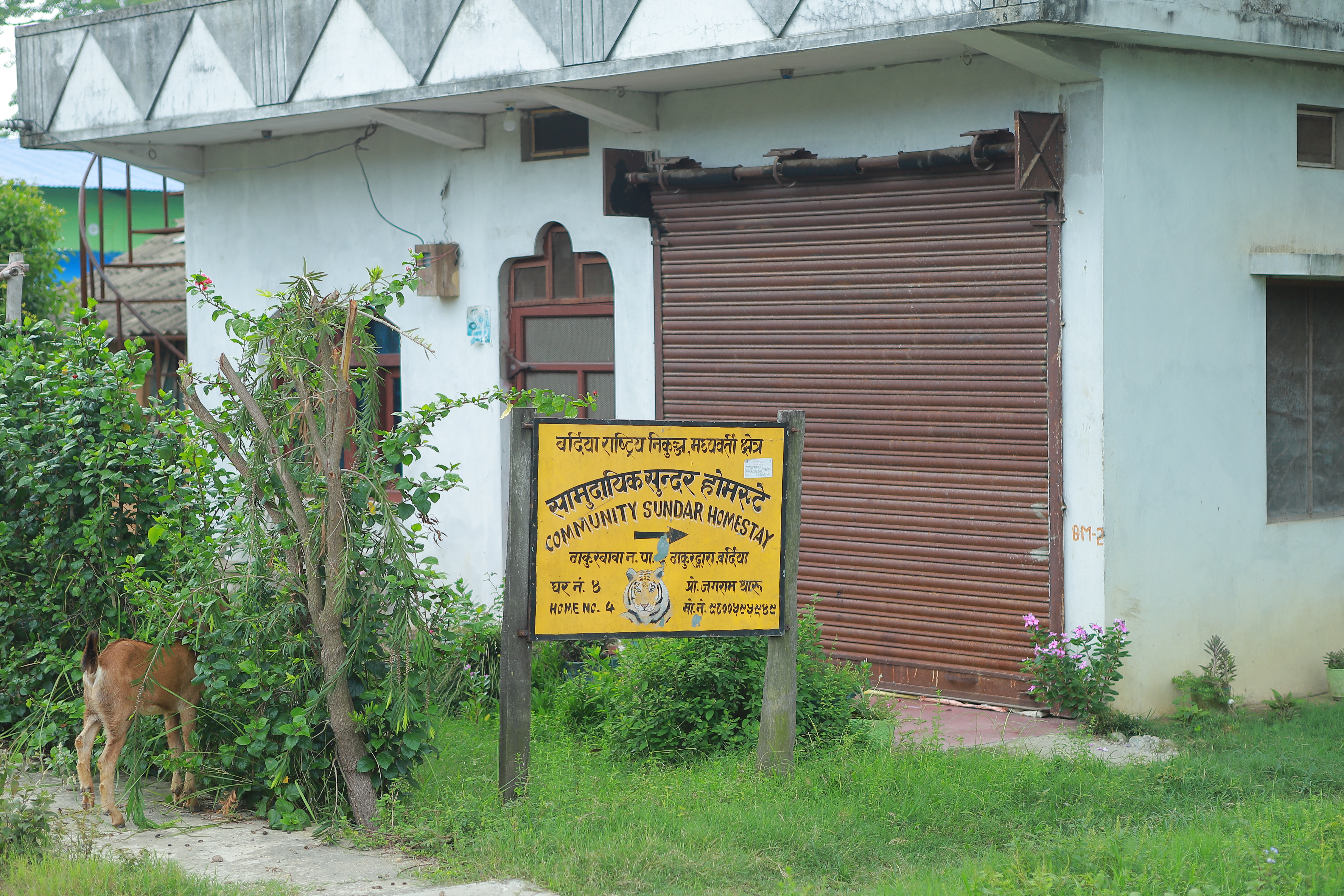 Sundar Homestay Home No. 4