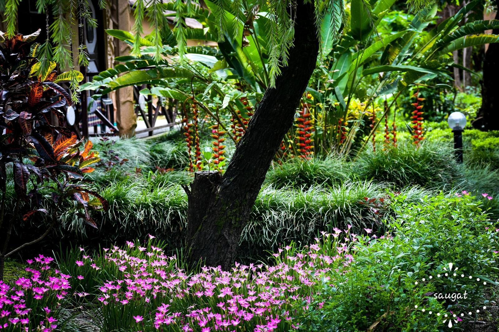 Bardia WildLife Resort