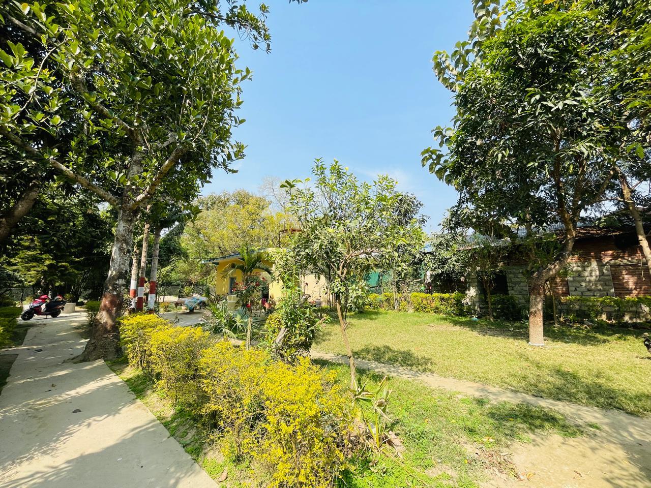 Bardia Golden River of Wildsite