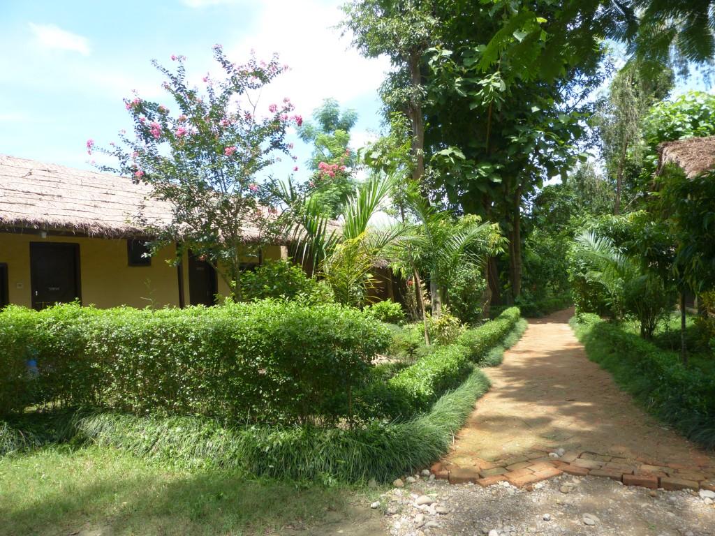 Nature Safari Resort