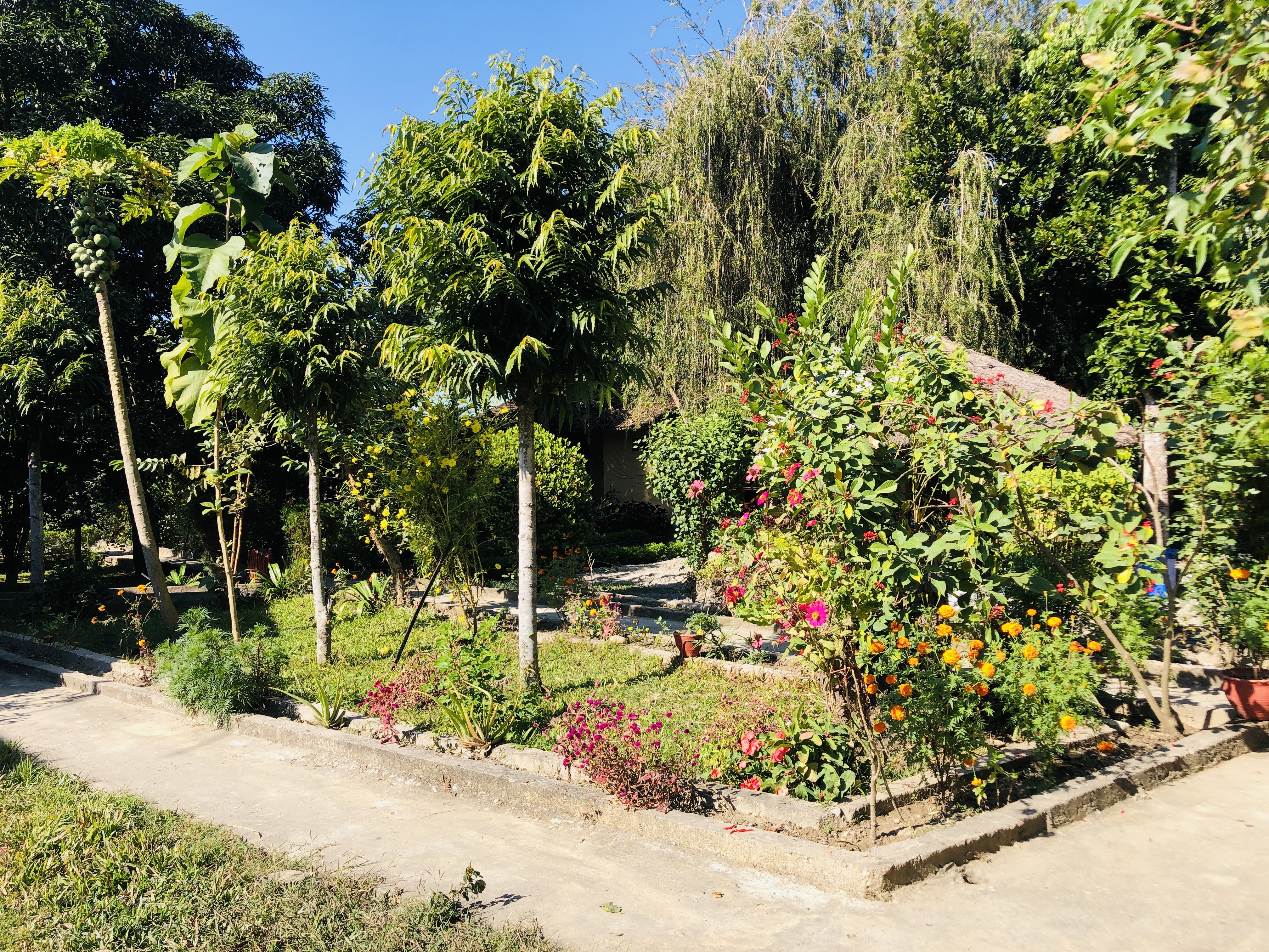 Nature Safari Resort