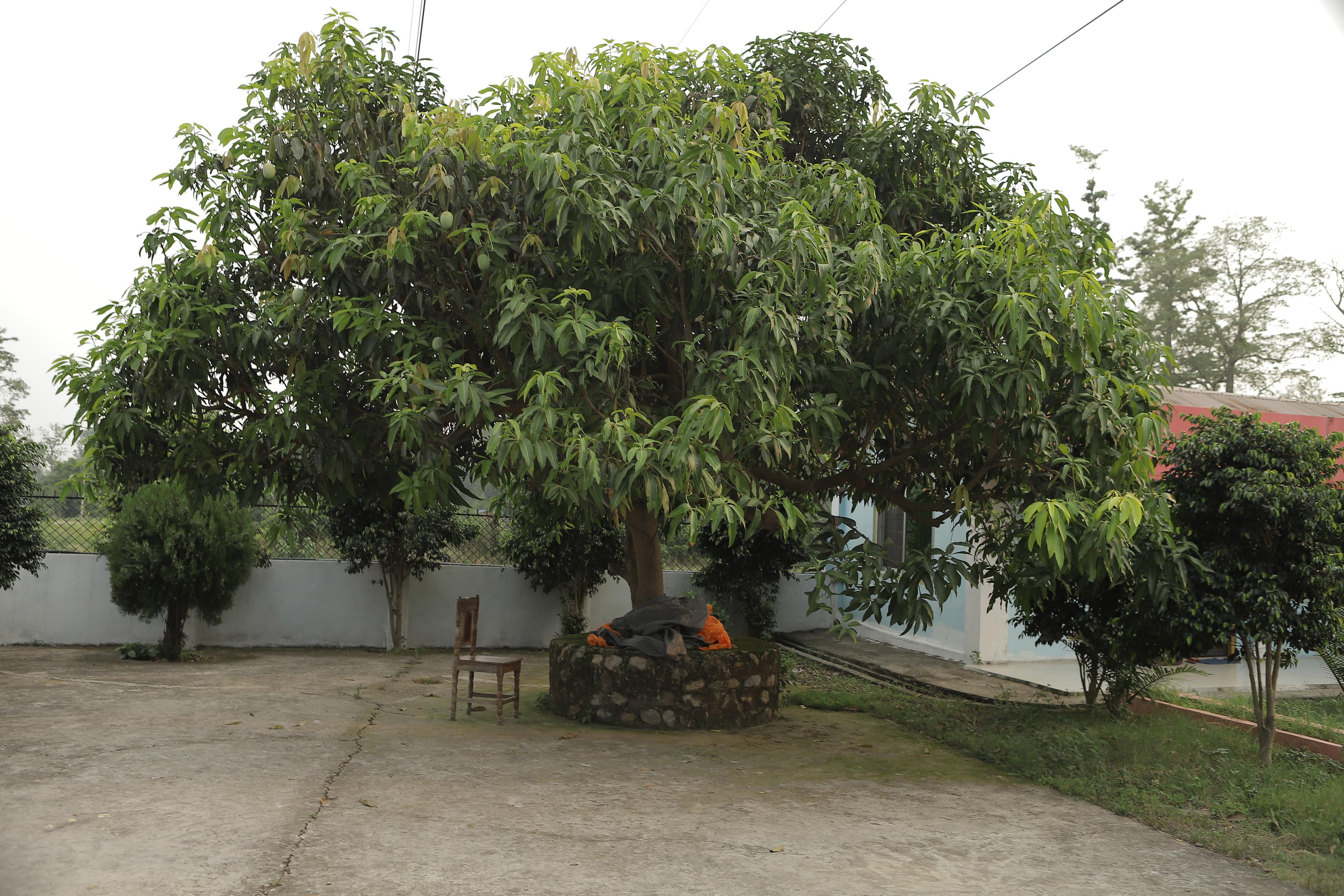 Hotel Chautari & Lodge