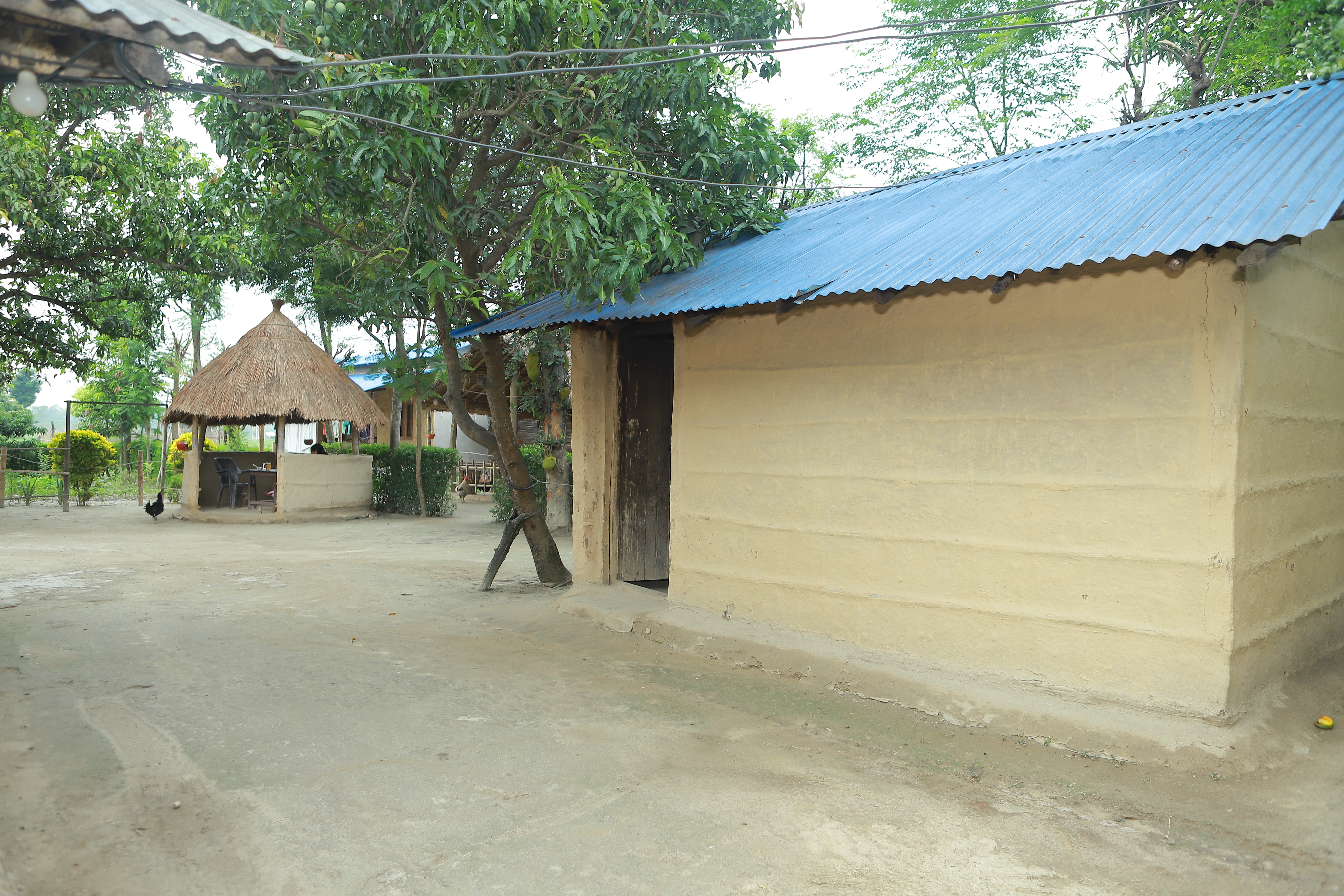 Dalla Homestay Home No.24