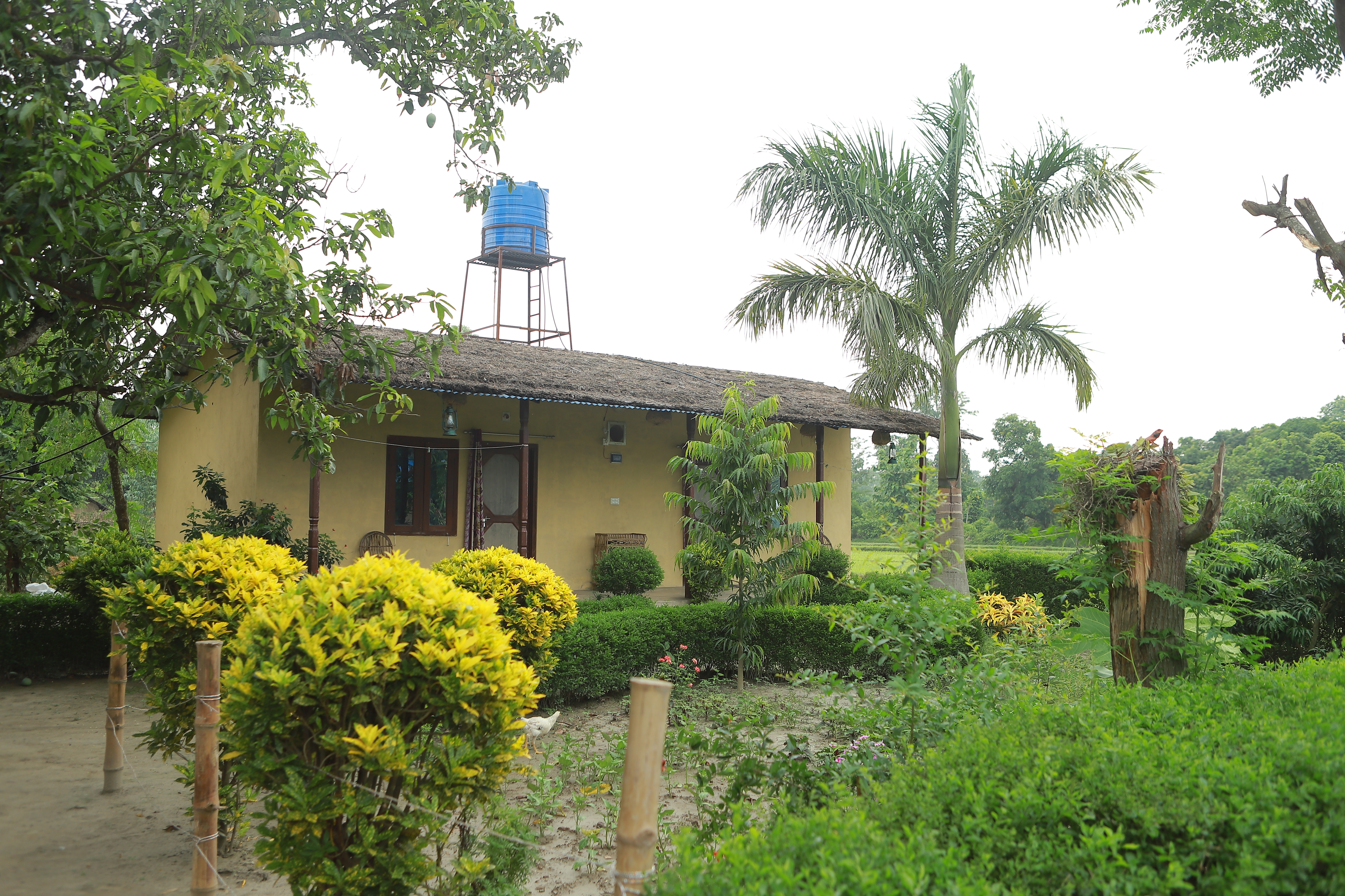 Dalla Homestay Home No.24