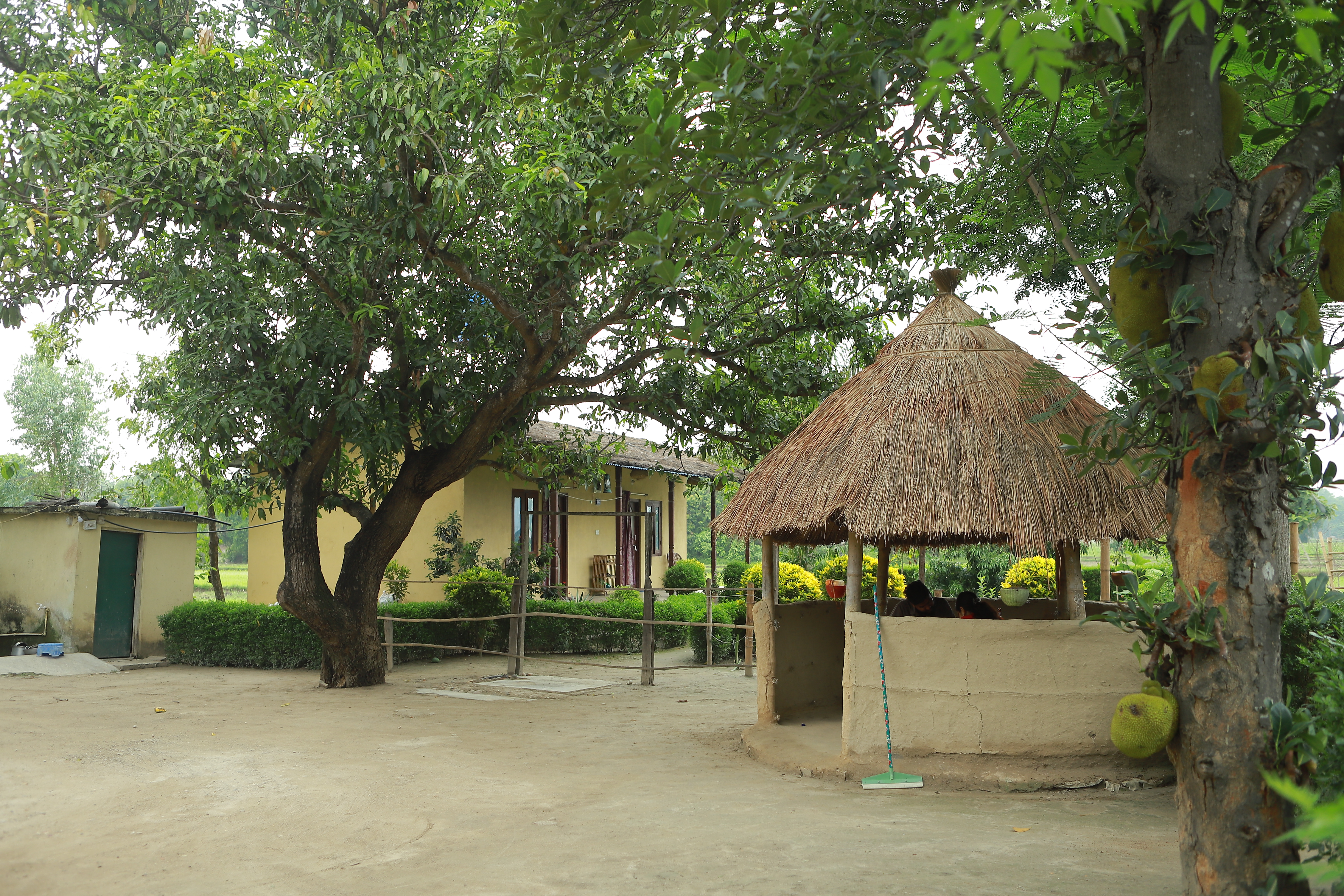 Dalla Homestay Home No.24
