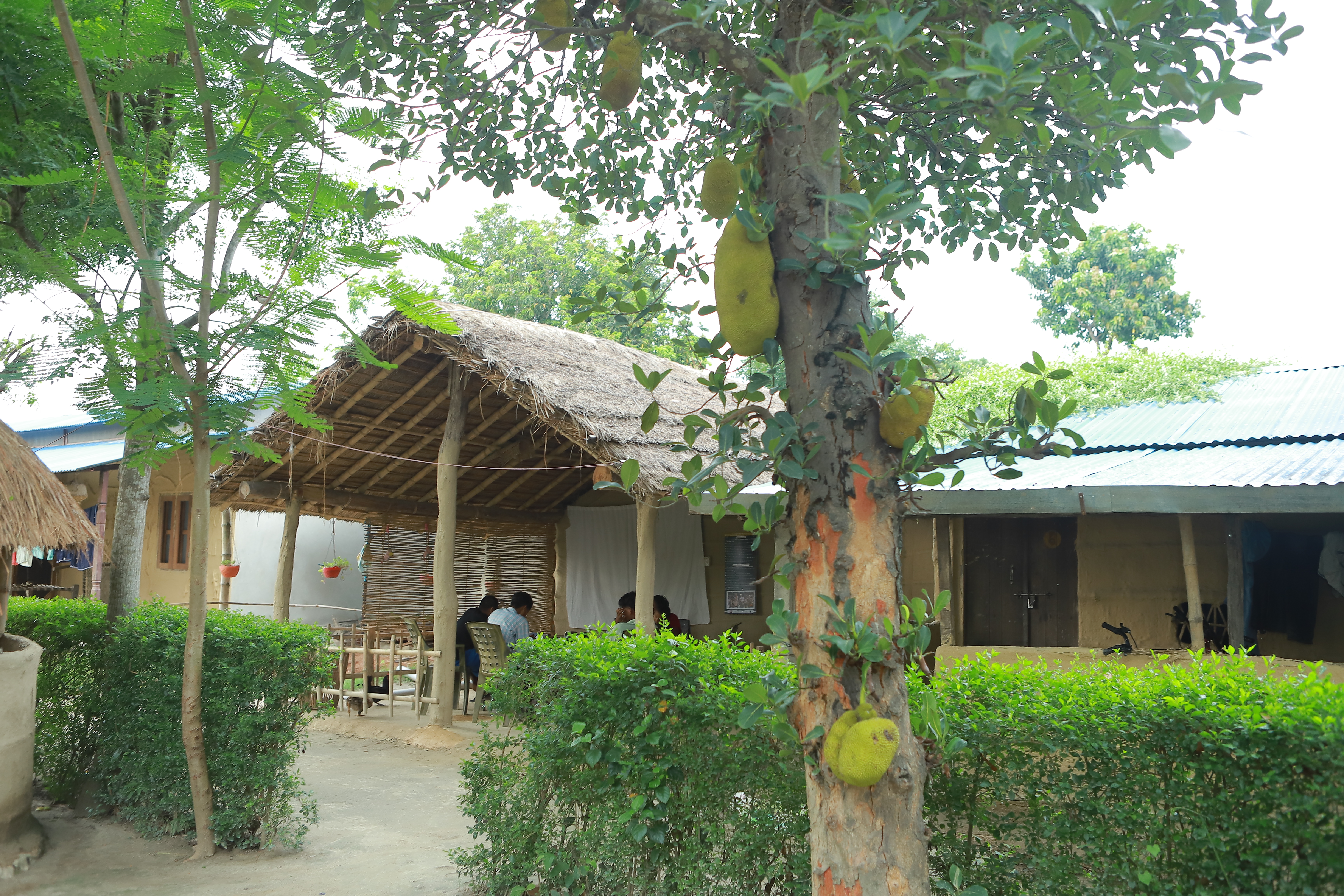 Dalla Homestay Home No.24