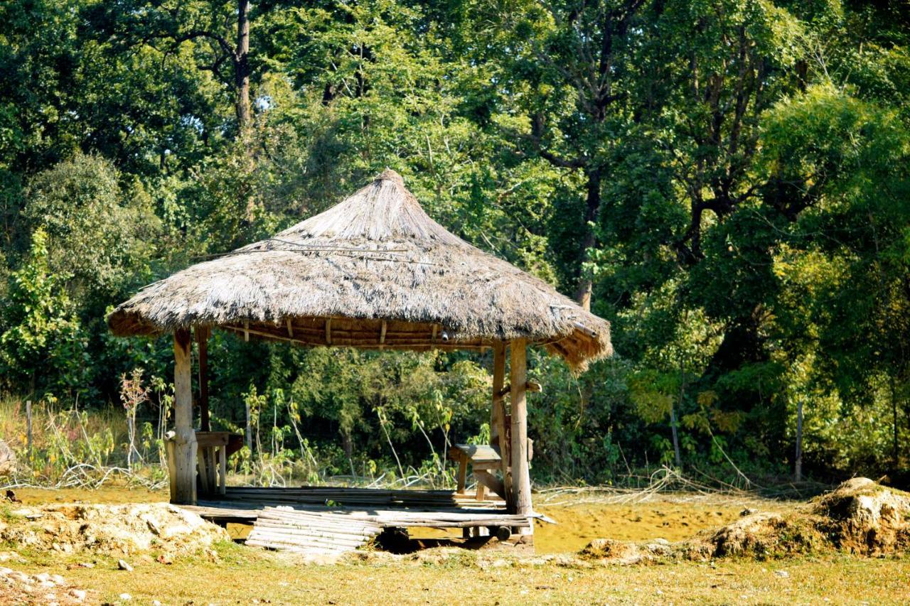 Nature Safari Resort