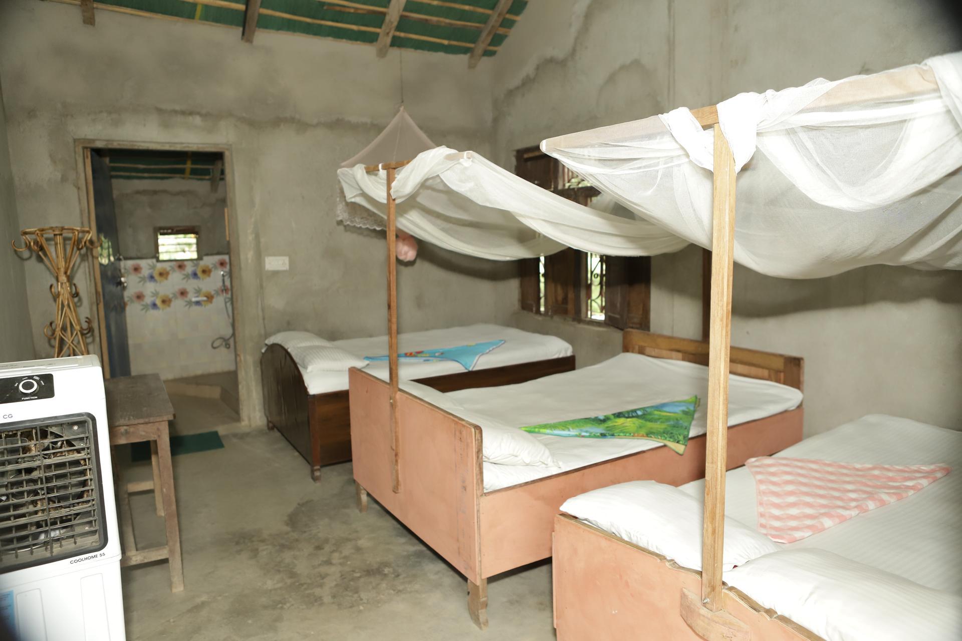 Twin Double Bed Room